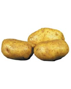 Potatis Bak Griller 30st 15kg 